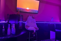 Concept Bar minette・ミネット - 奈良のコンカフェ 店舗写真