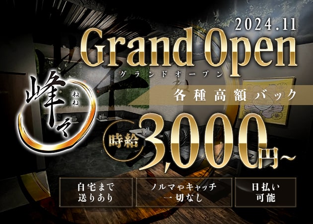 天満ラウンジ/クラブ・Club 峰々の求人