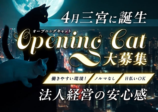 三宮ガールズバー・CHARM CAT CLUBの求人