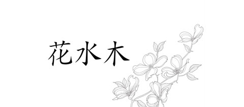 花水木・ハナミズキ - 諫早市・上町のスナック