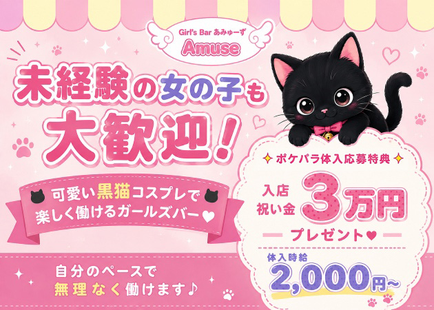 Girl's Bar Amuse 職種：カウンターレディ