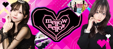mellow mellow・メロメロ - 歌舞伎町のガールズバー