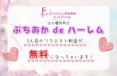 ぷちあかdeハーレム