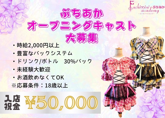 Puchimini academy 職種：フロアレディ