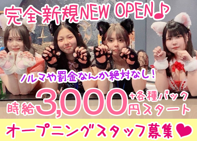 池袋ガールズバー・GirlsBar Baribieの求人