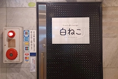 Snack&Lounge 白ねこ - 京橋のラウンジ/クラブ 店舗写真