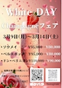 ピックアップニュース 🩵ホワイトデーシャンパンFaire🩵