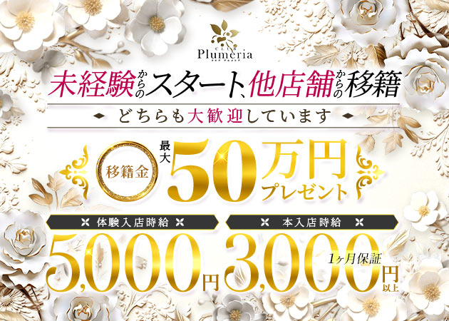 ポケパラ体入 CLUB Plumeria・プルメリア - JR宇都宮のキャバクラ女性キャスト募集