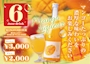 ピックアップニュース 🥭6月限定ドリンク🥭