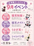 🐾✨ 池猫 9月イベントのお知らせ ✨🐾