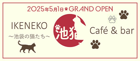 café&bar 池猫・イケネコ - 池袋西口のコンカフェ