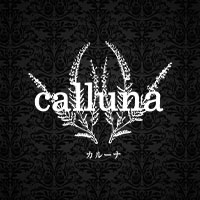 店舗写真 calluna・カルーナ - 名古屋 錦のスナック