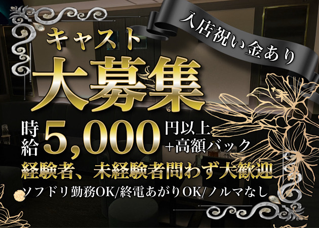 歌舞伎町キャバクラ・BLACK PINKの求人