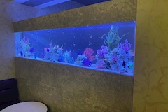 club GLANZ・グランツ - 神栖のキャバクラ 店舗写真
