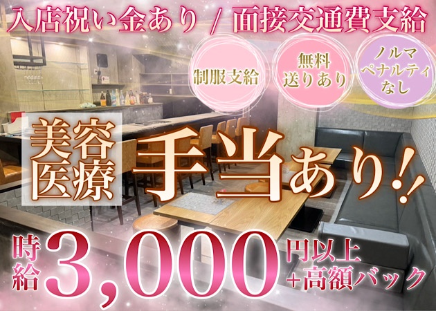 Pub&Snack 小町 職種：カウンターレディ