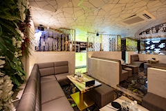ARCADIA・アルカディア - すすきのニュークラブ（キャバクラ） 店舗写真