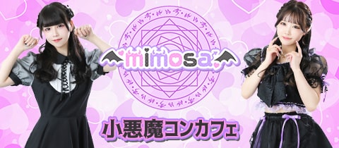 mimosa・ミモザ - 大宮/南銀のコンカフェ