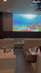 ピックアップニュース 店内紹介動画☆