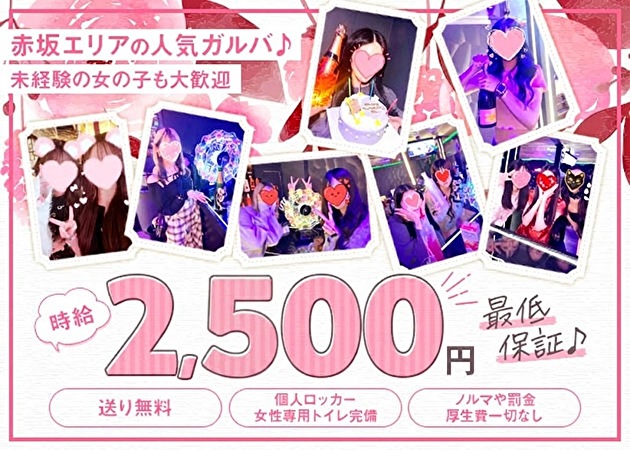 Cheer Akasaka 職種：カウンターレディ