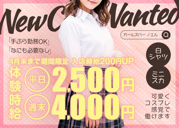 知立ガールズバー・Girls Bar Noelの求人