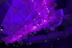 Girls Bar .me・ドットミー - 船橋のガールズバー 店舗写真