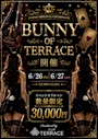 ピックアップニュース 🐰✨BUNNY OF TERRACE 開催✨🐰