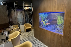 club Petit・プティ - 関内のキャバクラ 店舗写真