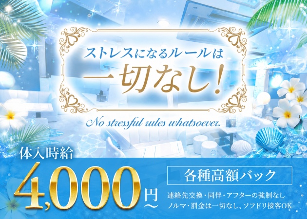 White Lily 職種：カウンターレディ