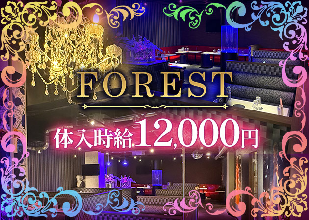 FOREST 職種:新規OPENしたてのキャバクラのフロアレディ