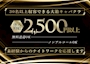 ピックアップニュース ★NEW CAST RECRUIT★＼＼経験者・未経験者問わず／／