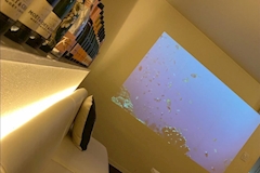SUGAR・シュガー - 青森市のキャバクラ 店舗写真