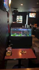 ピックアップニュース 可愛い新人が入りました