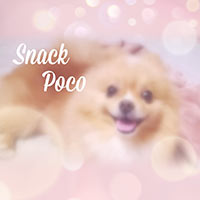 スナックPoco