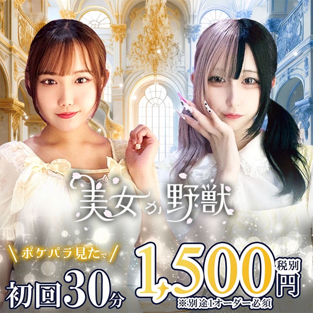 美女か野獣 - 秋葉原のコンカフェ