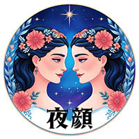 夜顔 - 新小岩のスナック