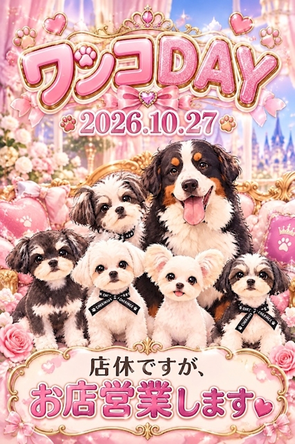 ピックアップニュース 🐶ワンコDAY🐶