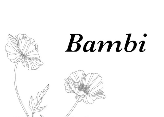 ポケパラ体入 Bambi・バンビ - 長崎市・銅座のスナックスタッフ募集