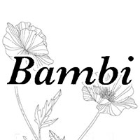 店舗写真 Bambi・バンビ - 長崎市・銅座のスナック