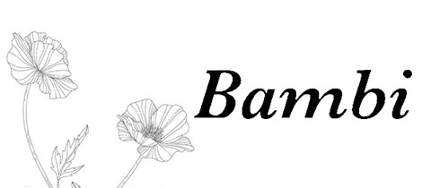 Bambi・バンビ - 長崎市・銅座のスナック