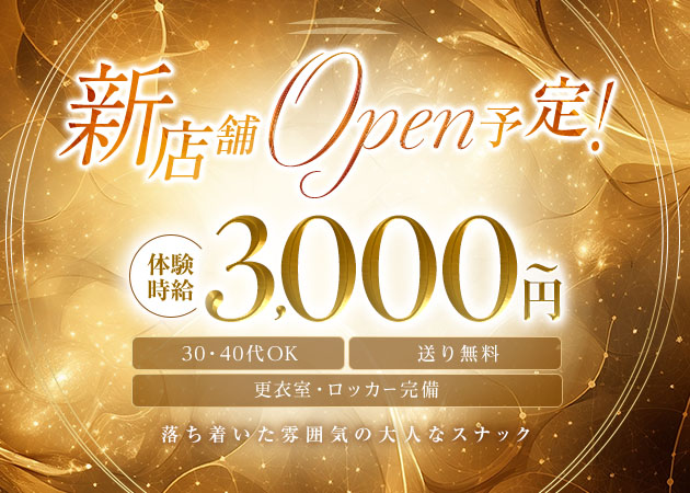 LOUNGE NOBLE 職種：フロアレディ