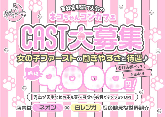 あるちゅーる 職種：カウンターレディ