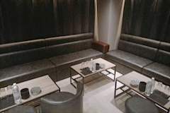 Shibuya Lounge・シブヤラウンジ - 渋谷のキャバクラ 店舗写真