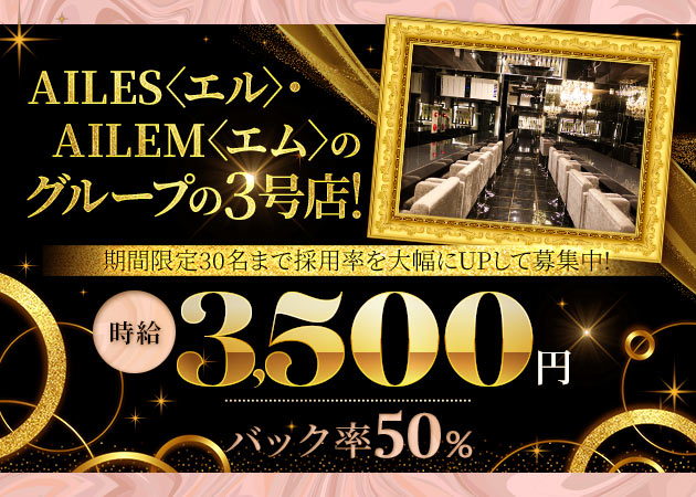 AILESS 職種：カウンターレディー
（完全カウンター越しの対応です。キャバクラのような隣りに座っての接客はございません）