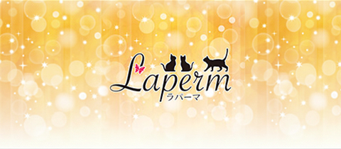 ラパーマ - 郡山・朝日のスナック