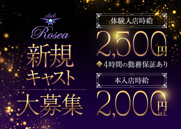 古河・東口パブ/スナック・Club Roseaの求人
