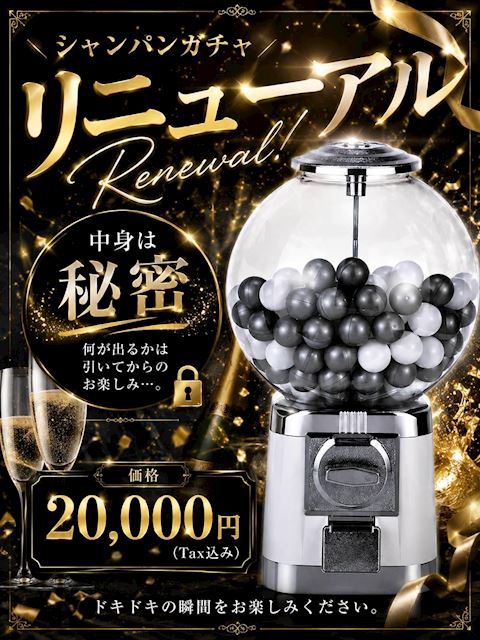ピックアップニュース 『シャンパンガチャ💫リニューアル』