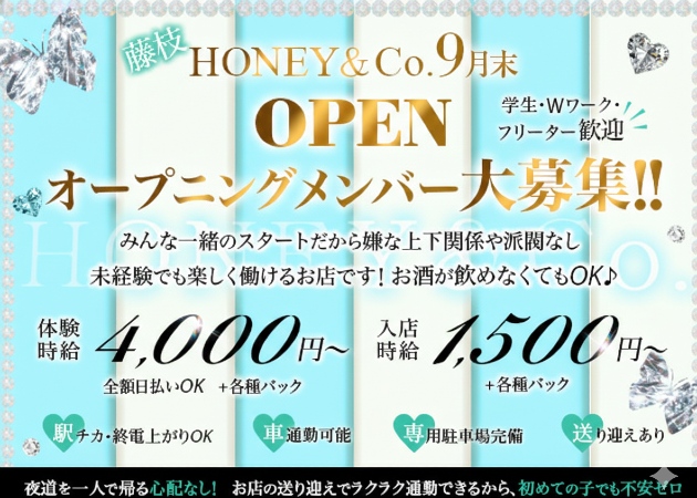 ポケパラ体入 HONEY＆Co. - 藤枝のガールズバースタッフ募集
