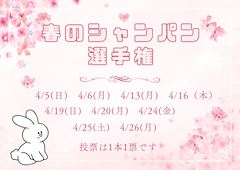 🌸春のシャンパン選手権🍾