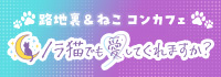 ノラ猫でも愛してくれますか？