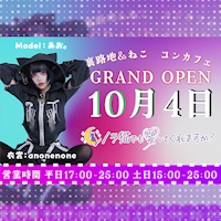 ノラ猫でも愛してくれますか？